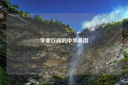 字里行间的中华基因