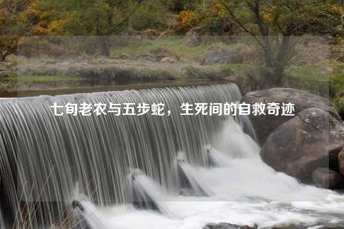 七旬老农与五步蛇，生死间的自救奇迹