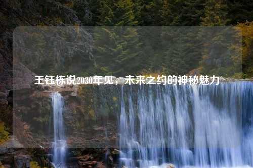 王钰栋说2030年见，未来之约的神秘魅力