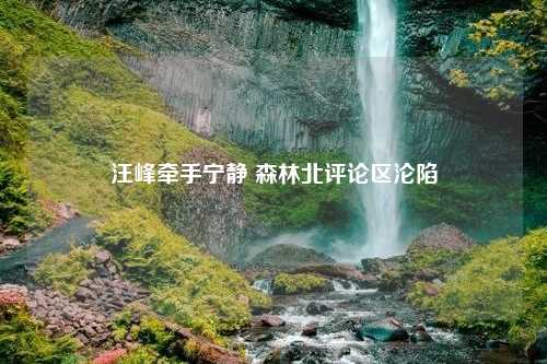 汪峰牵手宁静 森林北评论区沦陷